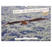 Calendrier 2027 · US Version · Les vautours : les gardiens de la santé | Les vautours sont bien différents de l'image que l'on se fait d'eux · DIN A3 paysage · CALVENDO Calendrier mural