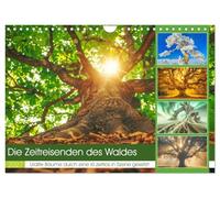 Calendrier 2027 · US Version · Les voyageurs dans le temps de la forêt | Les arbres séculaires dégagent une aura de sagesse et de continuité, et leur… · DIN A4 paysage · CALVENDO Calendrier mural
