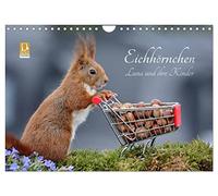 Calendrier 2027 · US Version · Luna l'é uil et ses petits | De superbes gros plans de stars sauvages de la photo · DIN A4 paysage · CALVENDO Calendrier mural