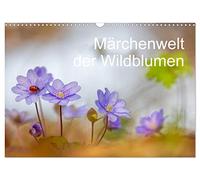 Calendrier 2027 · US Version · L'univers féérique des fleurs sauvages | Les fleurs sauvages de nos contrées surprennent souvent par leur aspect… · DIN A3 paysage · CALVENDO Calendrier mural