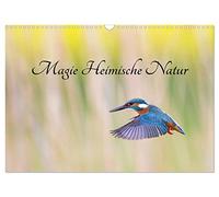 Calendrier 2027 · US Version · Magic Home Nature | Des motifs photographiques évocateurs issus de notre nature locale · DIN A3 paysage · CALVENDO Calendrier mural