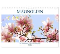 Calendrier 2027 · US Version · Magnolias : une explosion florale | La reine des plantes ligneuses aux fleurs ravissantes · DIN A4 paysage · CALVENDO Calendrier mural