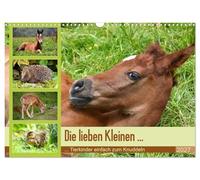 Calendrier 2027 · US Version · Mes chers petits… Des bébés animaux à | câliner tout simplement · Des bébés animaux tout mignons : de magnifiques… · DIN A3 paysage · CALVENDO Calendrier mural