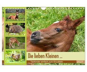 Calendrier 2027 · US Version · Mes chers petits… Des bébés animaux à | câliner tout simplement · Des bébés animaux tout mignons : de magnifiques… · DIN A4 paysage · CALVENDO Calendrier mural
