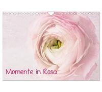 Calendrier 2027 · US Version · Moment en rose | Tout en rose, motifs floraux, natures mortes, méditation… le bien-être de l'âme · DIN A4 paysage · CALVENDO Calendrier mural