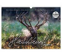 Calendrier 2027 · US Version · Moments émouvants: la période du rut chez | les cerfs · 2e partie · Des images spectaculaires et magiques du rut du cerf… · DIN A3 paysage · CALVENDO Calendrier mural