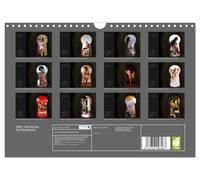 Calendrier 2027 · US Version · Mon trou de serrure secret | Le charme de l'observation secrète de la nudité et de l'intimité · DIN A4 paysage · CALVENDO Calendrier mural