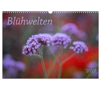 Calendrier 2027 · US Version · Mondes fleuris | Des gros plans de fleurs variées rythment le fil de l'année · DIN A3 paysage · CALVENDO Calendrier mural