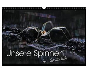 Calendrier 2027 · US Version · Nos araignées - en conversation | Souvent qualifiés de répugnants, ce texte et ce poème ont pour but d’assouplir… · DIN A3 paysage · CALVENDO Calendrier mural
