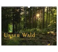Calendrier 2027 · US Version · Notre forêt - des vues féériques sur les | forêts du nord de l'Allemagne / calendrier d'anniversaire · Vues pittoresques… · DIN A3 paysage · CALVENDO Calendrier mural
