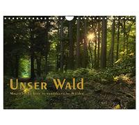 Calendrier 2027 · US Version · Notre forêt - des vues féériques sur les | forêts du nord de l'Allemagne / calendrier d'anniversaire · Vues pittoresques… · DIN A4 paysage · CALVENDO Calendrier mural