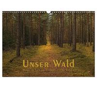 Calendrier 2027 · US Version · Notre forêt - Des vues féériques sur les | forêts du nord de l'Allemagne · Vues pittoresques de notre forêt · DIN A3 paysage · CALVENDO Calendrier mural