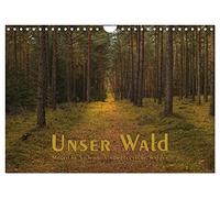 Calendrier 2027 · US Version · Notre forêt - Des vues féériques sur les | forêts du nord de l'Allemagne · Vues pittoresques de notre forêt · DIN A4 paysage · CALVENDO Calendrier mural