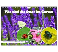 Calendrier 2027 · US Version · Nous sommes les stars du jardin | Rencontres avec la faune dans les magnifiques jardins d'Autriche · DIN A4 paysage · CALVENDO Calendrier mural