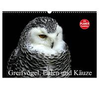 Calendrier 2027 · US Version · Oiseaux de proie, chouettes et hiboux | Au royaume des ailes silencieuses · DIN A3 paysage · CALVENDO Calendrier mural