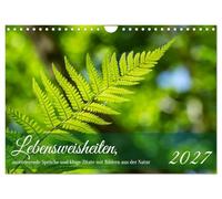 Calendrier 2027 · US Version · Pensées sur la vie, citations motivantes et | aphorismes pleins d'esprit accompagnés d'images de la nature · Avec de superbes… · DIN A4 paysage · CALVENDO Calendrier mural