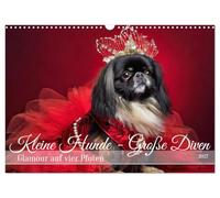Calendrier 2027 · US Version · Petits chiens, grandes divas | Les petits chiens deviennent des stars glamour · DIN A3 paysage · CALVENDO Calendrier mural