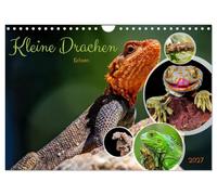 Calendrier 2027 · US Version · Petits dragons - lézards | Un monde plein de magie · DIN A4 paysage · CALVENDO Calendrier mural