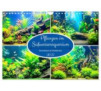 Calendrier 2027 · US Version · Plantes d'aquarium d'eau douce | Art paysager dans un aquarium · Des jardins sous-marins fascinants et des… · DIN A4 paysage · CALVENDO Calendrier mural