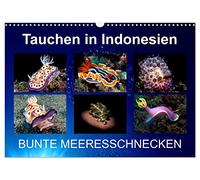 Calendrier 2027 · US Version · Plongée en Indonésie - UN SERPENT DE MER | HAUTENCOUREUR · Des nudibranches colorés photographiés lors de mes plongées en… · DIN A3 paysage · CALVENDO Calendrier mural