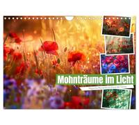 Calendrier 2027 · US Version · Poppy rêve dans la lumière | Dans la douce lueur du soir, les coquelicots resplendissent d'un rouge vif… · DIN A4 paysage · CALVENDO Calendrier mural