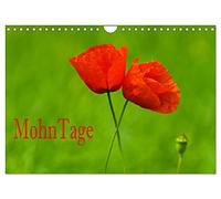Calendrier 2027 · US Version · PoppyDays | Les coquelicots sont des plantes polyvalentes et magnifiques: ce calendrier met… · DIN A4 paysage · CALVENDO Calendrier mural