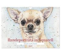 Calendrier 2027 · US Version · Portraits de chiens à l'aquarelle | Douze chiens différents · dessinés à l’aide de crayons aquarellables · DIN A4 paysage · CALVENDO Calendrier mural