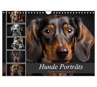 Calendrier 2027 · US Version · Portraits de chiens | Douze photos de races de chiens populaires qui font fondre les cœurs par leur… · DIN A4 paysage · CALVENDO Calendrier mural