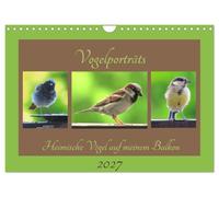 Calendrier 2027 · US Version · Portraits d'oiseaux - Les oiseaux indigènes | sur mon balcon · Profitez de la présence des petits oiseaux dans votre jardin · DIN A4 paysage · CALVENDO Calendrier mural