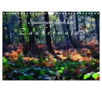 Calendrier 2027 · US Version · Promenez-vous dans la forêt enchantée | Magique, mystique ou mystérieuse: la forêt vous réserve une multitude… · DIN A4 paysage · CALVENDO Calendrier mural