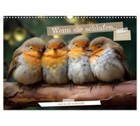Calendrier 2027 · US Version · Quand ils dorment | Ne réveillez pas les animaux qui dorment · DIN A3 paysage · CALVENDO Calendrier mural