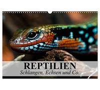 Calendrier 2027 · US Version · Reptiles: serpents, lézards et autres | Adaptations préhistoriques et créatures méritant d'être protégées · DIN A3 paysage · CALVENDO Calendrier mural