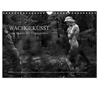Calendrier 2027 · US Version · Réveillé par un baiser - De la magie du | passé · Cimetière Südwestkirchhof de Stahnsdorf · Impressions poétiques en noir… · DIN A4 paysage · CALVENDO Calendrier mural