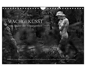 Calendrier 2027 · US Version · Réveillé par un baiser - De la magie du | passé · Cimetière Südwestkirchhof de Stahnsdorf · Impressions poétiques en noir… · DIN A4 paysage · CALVENDO Calendrier mural