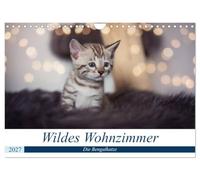Calendrier 2027 · US Version · Salon sauvage - Le chat du Bengale | Un regard sauvage, un tempérament bien trempé, une soif d'apprendre et un grand… · DIN A4 paysage · CALVENDO Calendrier mural