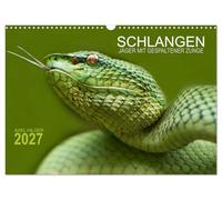 Calendrier 2027 · US Version · SERPENTS. CHASSEUR À LA LANGUE FOURCHUE | Pour le projet « Snakes », le photographe Axel Hilger a effectué de longs… · DIN A3 paysage · CALVENDO Calendrier mural