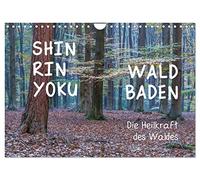 Calendrier 2027 · US Version · Shinrin yoku - Bain de forêt 2027 | Douze photographies évocatrices vous invitent à vous plonger dans l'atmosphère… · DIN A4 paysage · CALVENDO Calendrier mural