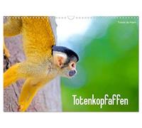 Calendrier 2027 · US Version · Singe-é uil | Les singes-é uils, créatures fascinantes et agiles, dans leurs plus beaux… · DIN A3 paysage · CALVENDO Calendrier mural