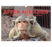 Calendrier 2027 · US Version · SINGES D'ASIE : Indonésie, Thaïlande, Inde | Découvrez l'univers fascinant des singes d'Asie devant les ruines d'un temple… · DIN A3 paysage · CALVENDO Calendrier mural