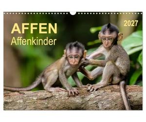 Calendrier 2027 · US Version · Singes - petits singes | Des petites créatures qu'on ne peut s'empêcher d'aimer · DIN A3 paysage · CALVENDO Calendrier mural