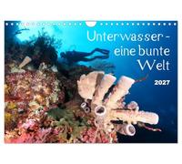 Calendrier 2027 · US Version · Sous l'eau : un univers haut en couleur | Les mers tropicales regorgent d'une faune et d'une flore colorées · DIN A4 paysage · CALVENDO Calendrier mural