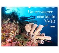 Calendrier 2027 · US Version · Sous l'eau : un univers haut en couleur | Les mers tropicales regorgent d'une faune et d'une flore colorées · DIN A3 paysage · CALVENDO Calendrier mural