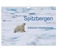 Calendrier 2027 · US Version · Spitsbergen - Impressions de l'Arctique | Paysages et faune du Spitzberg · DIN A4 paysage · CALVENDO Calendrier mural