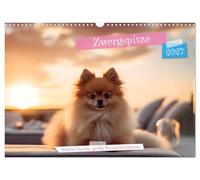 Calendrier 2027 · US Version · Spitz nain : petits chiens, grandes | personnalités · De charmants chiens miniatures dans de magnifiques décors · DIN A3 paysage · CALVENDO Calendrier mural