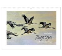 Calendrier 2027 · US Version · Sur des ailes légères - les oiseaux | migrateurs · Peintures à l'huile de Julia Pasinski · DIN A3 paysage · CALVENDO Calendrier mural