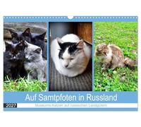 Calendrier 2027 · US Version · Sur la pointe des pattes en Russie | les chats des musées dans les domaines de campagne russes · Les chats dans les… · DIN A3 paysage · CALVENDO Calendrier mural