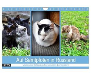 Calendrier 2027 · US Version · Sur la pointe des pattes en Russie | les chats des musées dans les domaines de campagne russes · Les chats dans les… · DIN A4 paysage · CALVENDO Calendrier mural