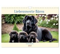 Calendrier 2027 · US Version · Terre-Neuve - Des ours adorables | Le Terre-Neuve est l'une des races de chiens les plus grandes, mais aussi l'une… · DIN A4 paysage · CALVENDO Calendrier mural