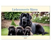 Calendrier 2027 · US Version · Terre-Neuve - Des ours adorables | Le Terre-Neuve est l'une des races de chiens les plus grandes, mais aussi l'une… · DIN A3 paysage · CALVENDO Calendrier mural