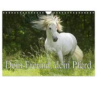 Calendrier 2027 · US Version · Ton ami, ton cheval | Se trouver dans le paddock au bon moment avec le propriétaire du cheval · DIN A4 paysage · CALVENDO Calendrier mural